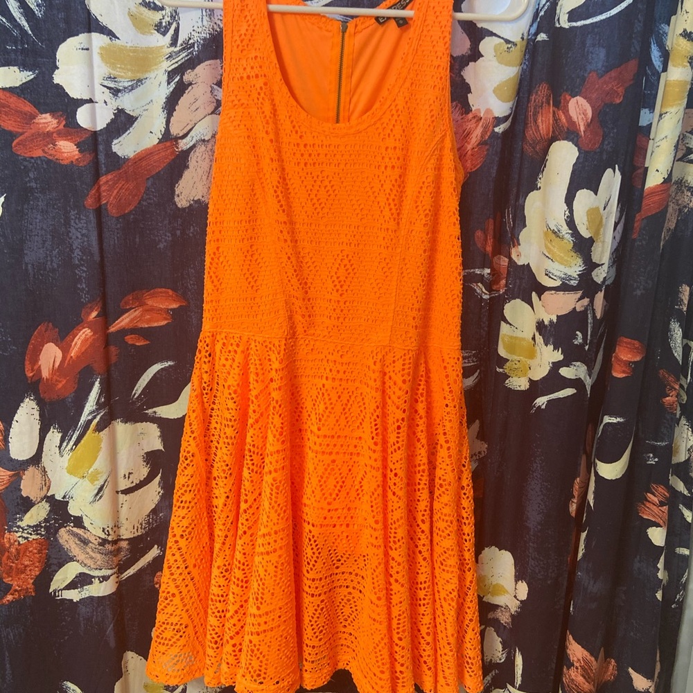 EXPRESS Skater Dress
